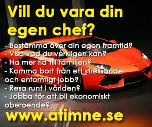Vill du vara din egen chef?