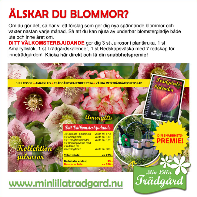 Ditt välkomsterbjudande!