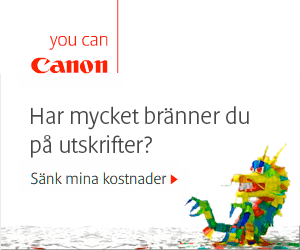 Hur mycket bränner du på utskrifter?