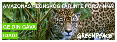 Amazonas regnskog får inte försvinna