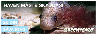 Haven måste skyddas!