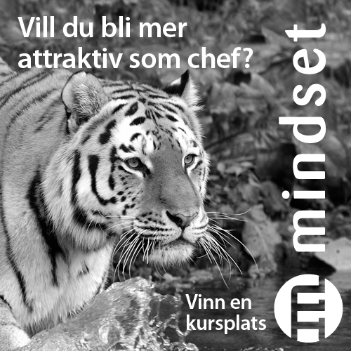 Vill du bli mer attraktiv som chef?